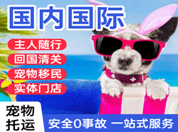 云冈机场物流国际宠物托运 【国